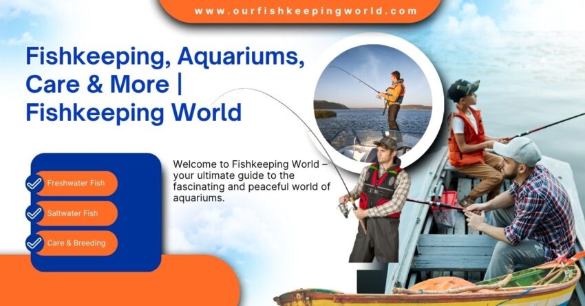 Fishkeeping, Aquariums, Care & More Fishkeeping World