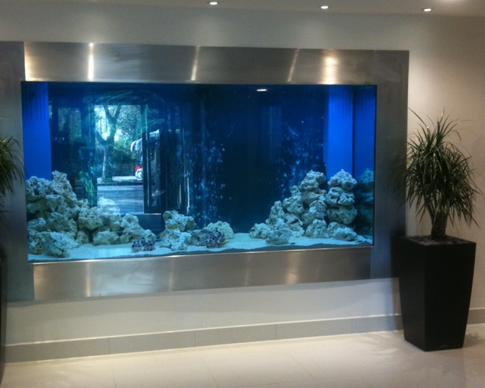 good suggestions and ideas for aquariums